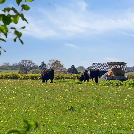 Bjarke - 200m From The Sea By Interhome Σπίτι διακοπών *